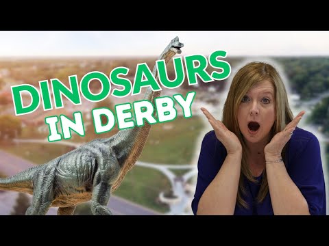 Craigslist Derby Kansas