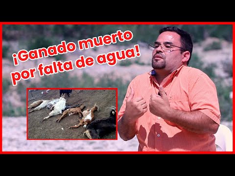 EL GOBERNADOR SÓLO NOS DIO $2000 - Aristeo Benavides (PARADELANTISMO)