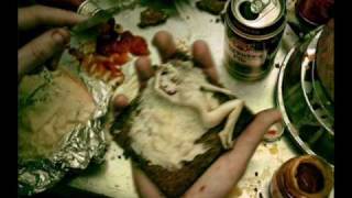 TERROR  - Suffer to return harder