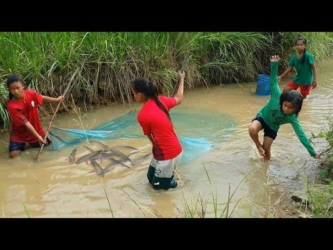 Amazing fishing at Battambang - people fishing in Cambodia - How to Catches fish  ▶11:25