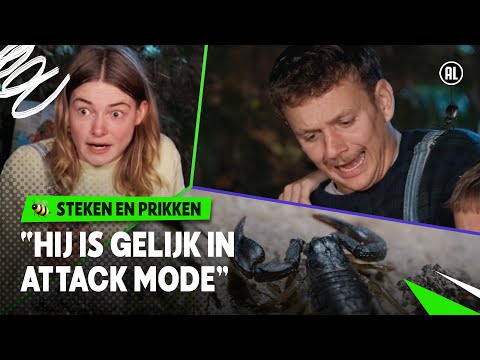 ANGEL VAN SCHORPIOEN DOET HEEL VEEL PIJN!! 😣 🦂  | Steken en Prikken | S4 #8 | NPO Zapp