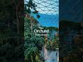 QATAR Builds RAINFOREST Inside Doha AIRPORT Doha Qatar Airport Aviation Travel Avgeek