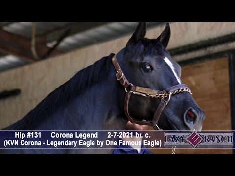 𝐇𝐈𝐏 #𝟏𝟑𝟏 𝐂𝐎𝐑𝐎𝐍𝐀 𝐋𝐄𝐆𝐄𝐍𝐃