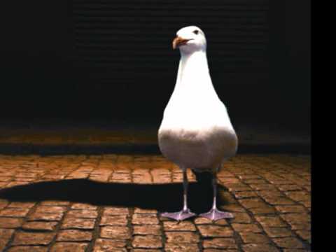 Bootsy Collins - Everything Is Everything (Fatboy Slim - Late Night Tales)