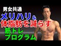 たった35分!男女共通 メリハリ&体脂肪を減らす筋トレプログラム トレーニング、筋トレを効率よくコンパクトに!今の筋トレは体脂肪を燃やす目的に合ってますか?