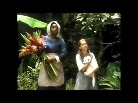 Thumbnail of the video: The Orchid House clips - Jessica Marshall-Gardiner
