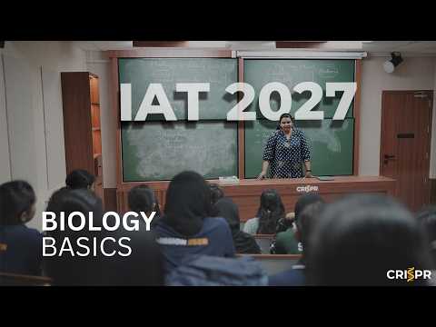 Classroom program video
