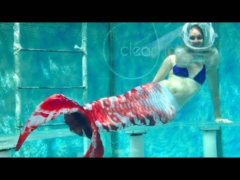 Mertailor Whimsy Mermaid Tail Review