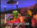 Kokomo By The Muppets Wmv