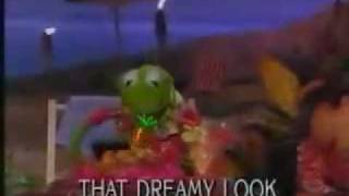 kokomo by the muppets.wmv