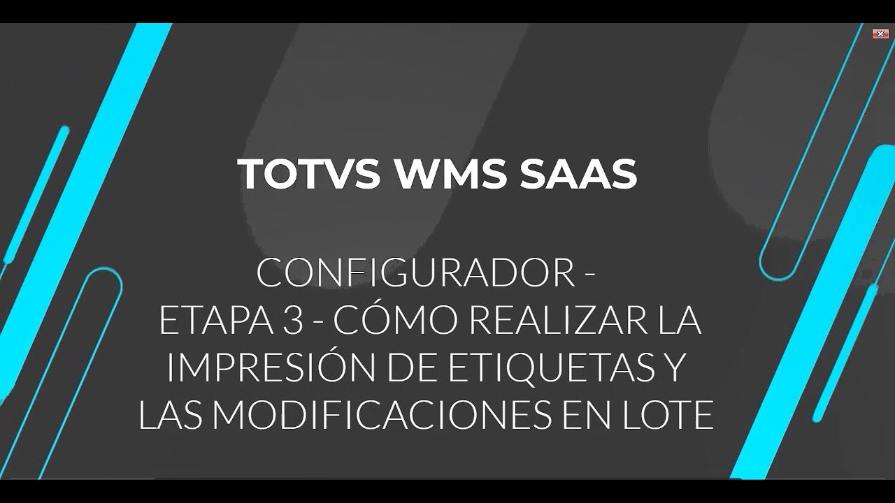 How To | WMS SaaS | Configurador | Etapa 3 - Impresión de Etiquetas y Modificaciones en Lote #totvs