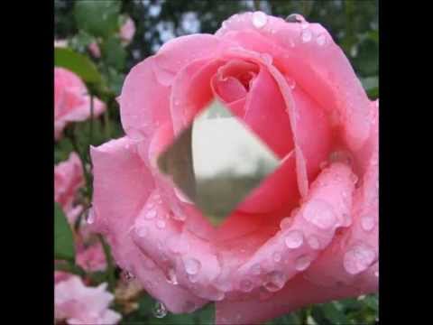 LAURA -- JORGE GOULART