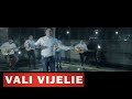 LIVIU PUSTIU SI VALI VIJELIE STRIG CAT POT IN GURA MARE