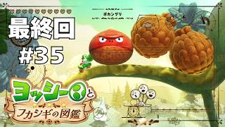 【最終回】ゴクラクチョウを徹底調査！#35 【ヨッシーとフカシギの図鑑】