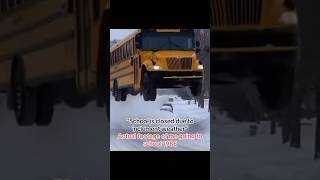 School is Closed-Meanwhile 1986 #80s #snow #school