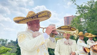 Video de Mariachi Caballo de Patas Blancas
