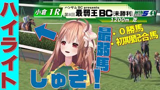 【ハイライト】第８回最弱王BC【ダビスタ】
