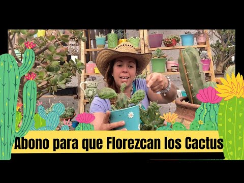 , title : 'Súper abono casero para que florezcan los cactus ❤️'
