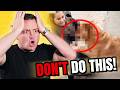 Dog Trainer Reacts to INSANE Viral Dog Videos!