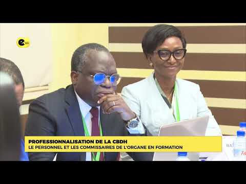 Professionnalisation de CBDH : le personnel et les commissaires de l'organe en formation