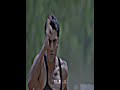 Aaina Mon Bhanga Bengali Status Song Bolona Tumi Amar Dev Koel Efx Status Lofi Status