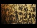 Nibiru 2032 - The end of the World HD XD 