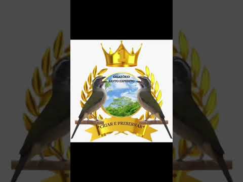 Enviei via Whatsapp em PDF para Crisólita-MG🔥🫅