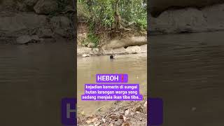 Download lagu kejadian kemarin di sungai hutan larangan warga yang sedang menjala ikan tiba tiba #shortsviral mp3 Download lagu kejadian kemarin di sungai hutan larangan warga yang sedang menjala ikan tiba tiba #shortsviral mp3