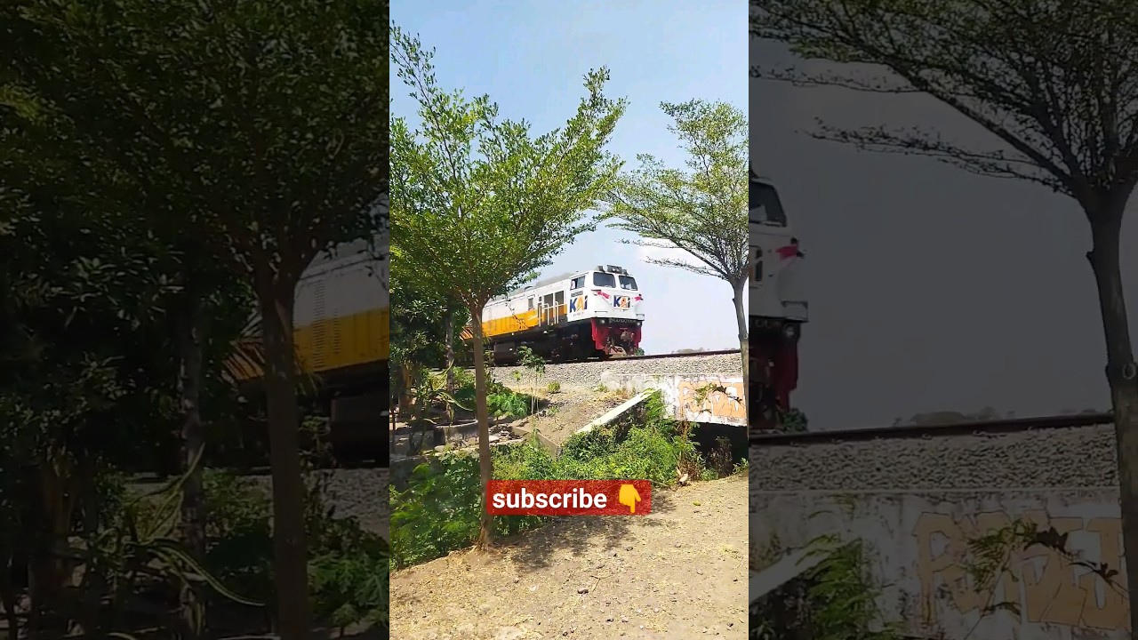 Kereta api livery HUT ke 78 RI #railfans #kai #shorts