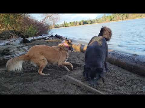 Shabdis and Nilofar at the beach.