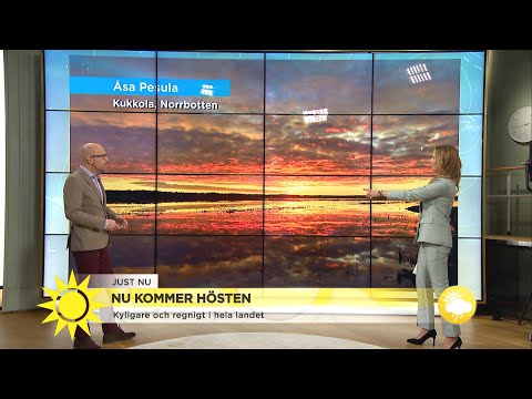 "Nu har vi höst i så gott som hela landet" - Nyhetsmorgon (TV4)