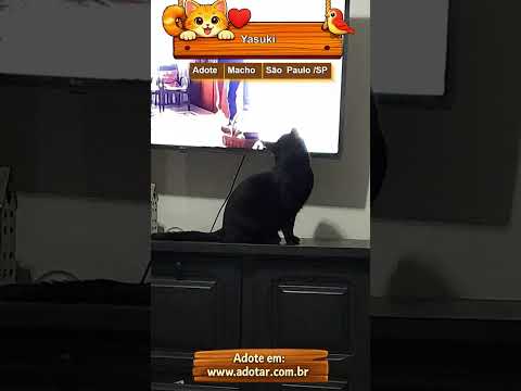 Vídeo de Yasuki
