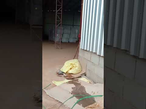 #caminhao#matogrossodosul#corumba