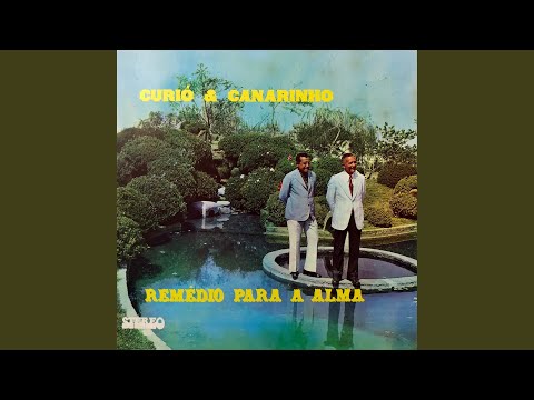Cuidado, Muito Cuidado! - Curió e Canarinho