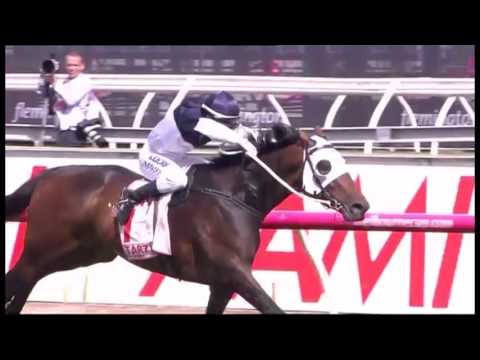 2015 TARZINO VRC DERBY