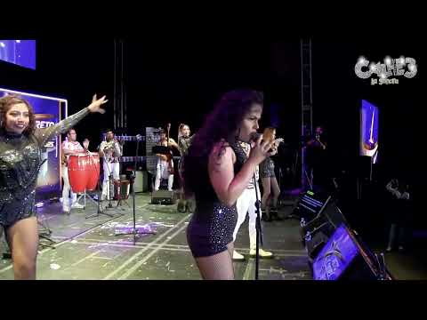 CALLE 3 LA SONORA "LA VIDA ES UN CARNAVAL" En Vivo cover