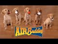 AIR BUDDIES Cães Amigos Brasil Version