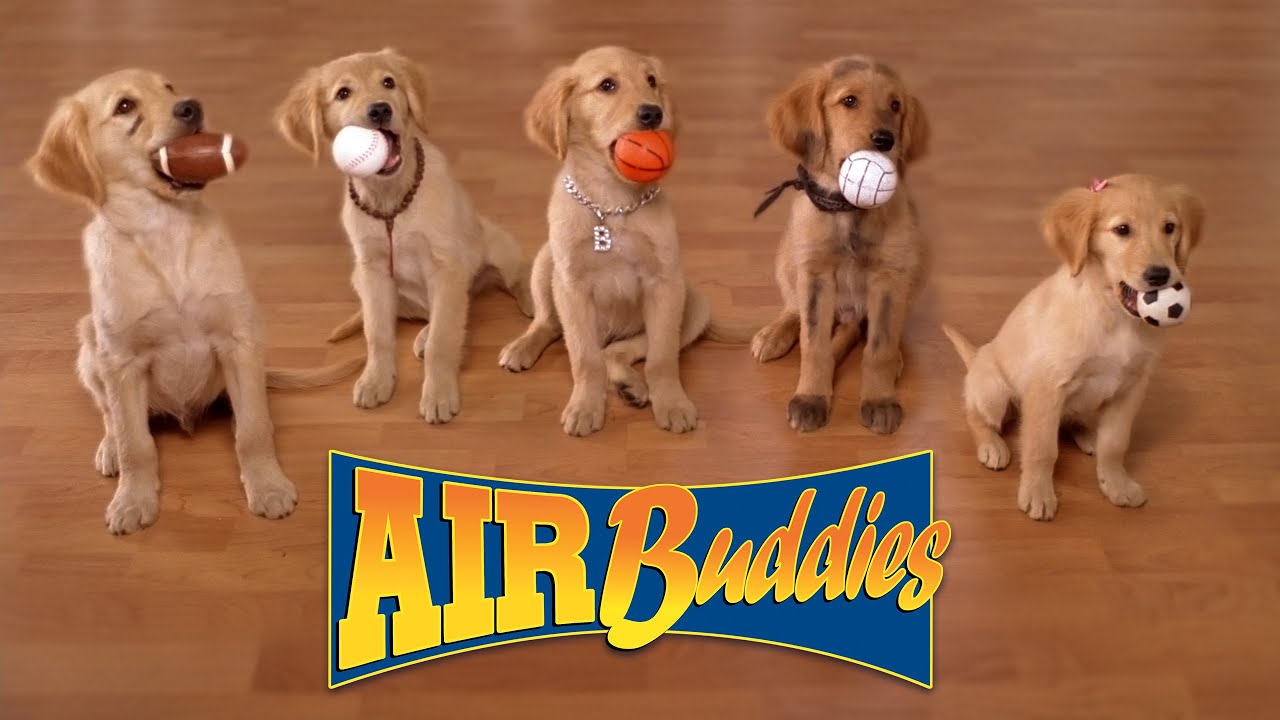 AIR BUDDIES: Cães Amigos - Brasil version