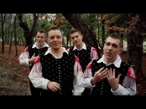 Ansambel Trubadurji-Ti si nekaj posebnega