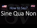 How to Pronounce Sine Qua Non? (CORRECTLY)