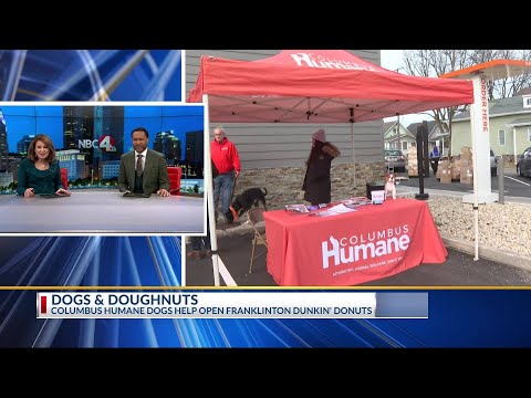 Dogs and donuts team up in Franklinton - YouTube