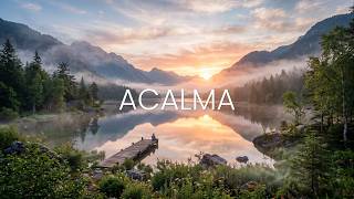Acalma a Alma | Relaxante Música | Para Dormir e Eliminar Ansiedade