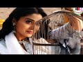 All SongTera Mera Rishta Remix Mp3 Awarapan 2007 Hindi Music 4 HD