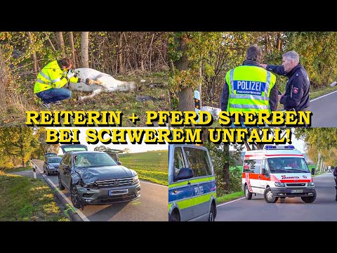 [REITERIN + PFERD STERBEN BEI HORROR-UNFALL] - Senior erfasst das Pferd auf Landstraße - | POLIZEI