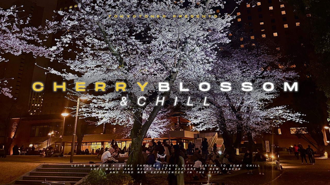 japan cherry blossom 🌸 sakura + lofi hiphop