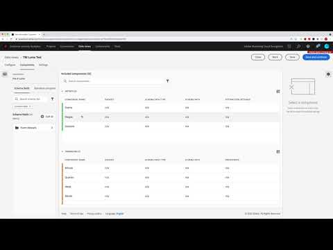 Basic Configuration for CJA Data Views