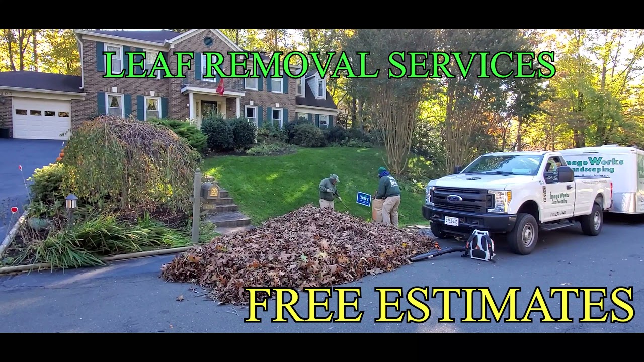 Residential Leaf Removal Services