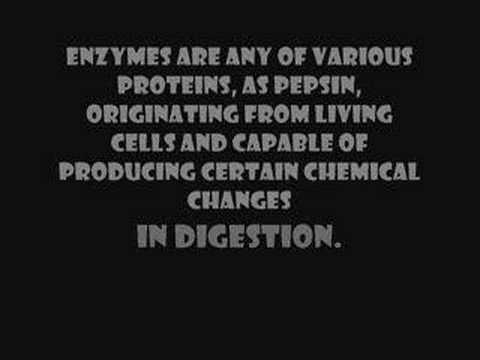 download lagu mp3 mp4 Is Welchs Fruit Snacks Halal, download lagu Is Welchs Fruit Snacks Halal gratis, unduh video klip Is Welchs Fruit Snacks Halal