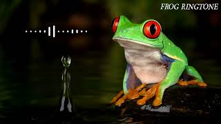 Download lagu Nada dering katak | nada pesan | nada dering SMS | nada SMS | nada lucu | mp3 Download lagu Nada dering katak | nada pesan | nada dering SMS | nada SMS | nada lucu | mp3