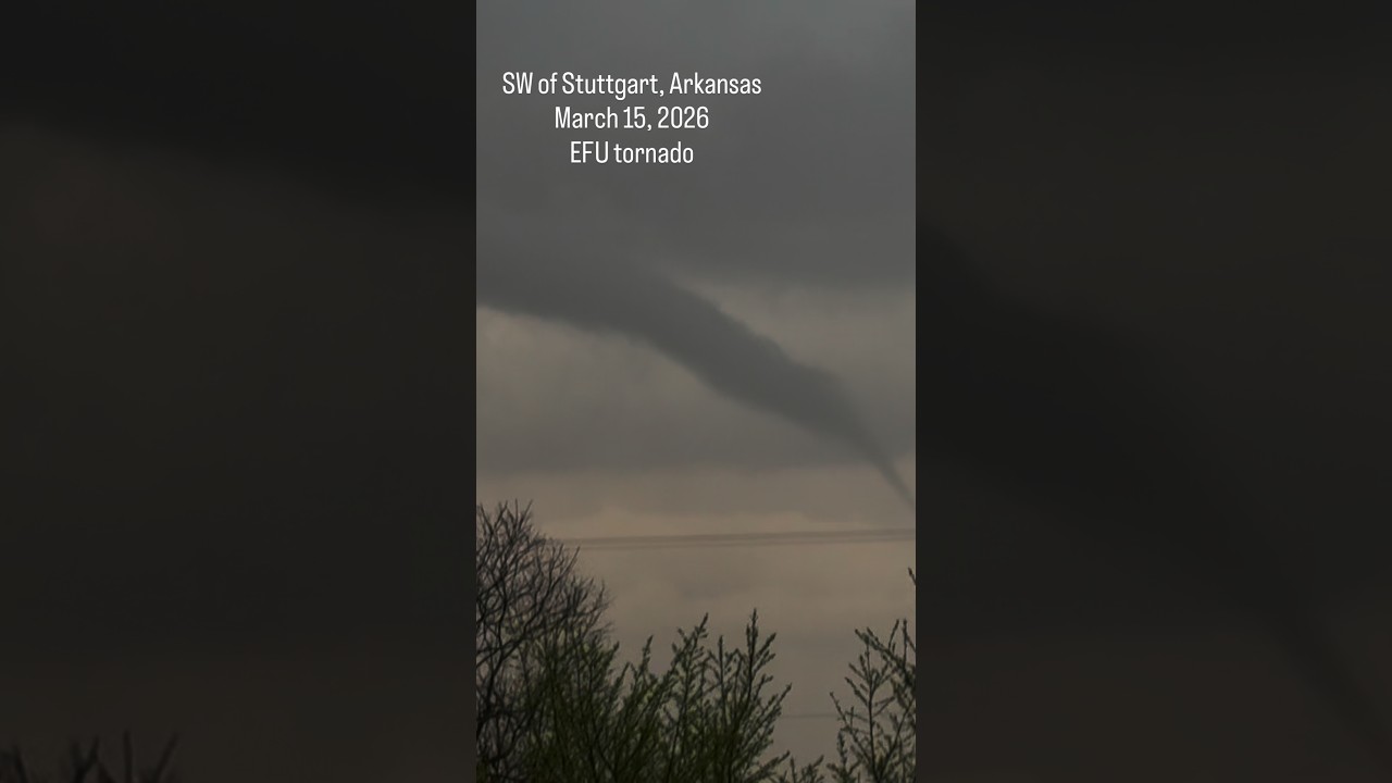 You could have intercepted 10 tornadoes so far in 2026 if you played your cards right!